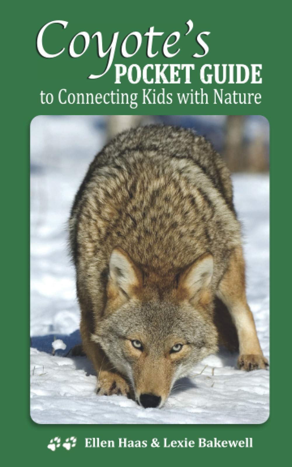 Coyote's Pocket Guide: To Connecting Kids with Nature book