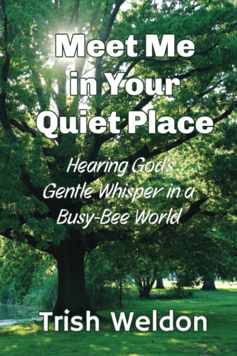 Meet Me in Your Quiet Place: Hearing God's Gentle Whisper in a Busy Bee World Religion & Esotericism