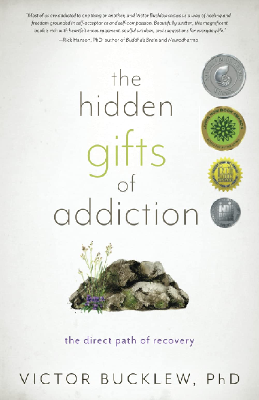 The Hidden Gifts of Addiction: The Direct Path of Recovery Health, Nutrition & Fitness