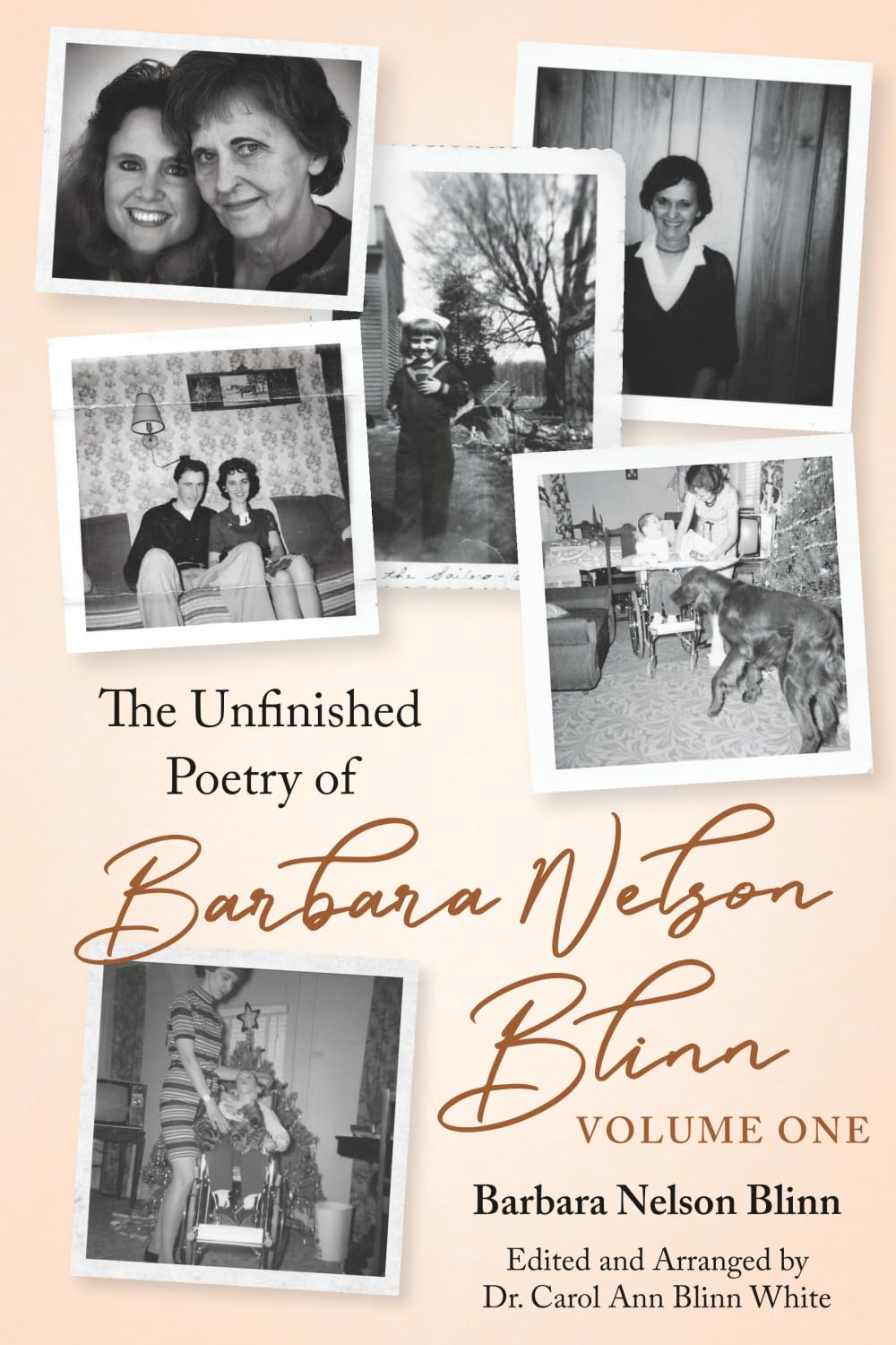 The Unfinished Poetry of Barbara Nelson Blinn: Volume One Poetry