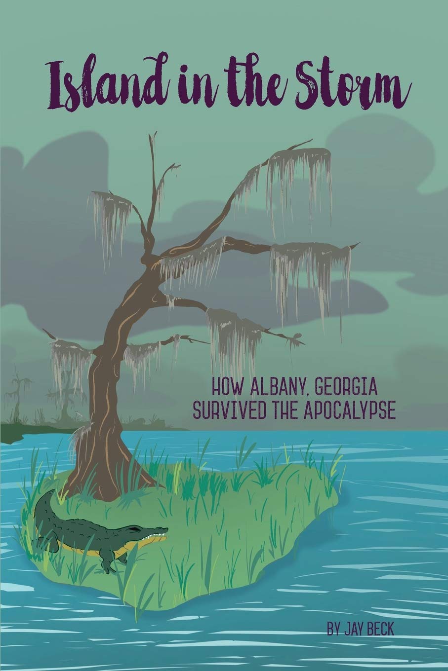 Island in the Storm: How Albany, Georgia, Survived the Apocalypse Contemporary literature