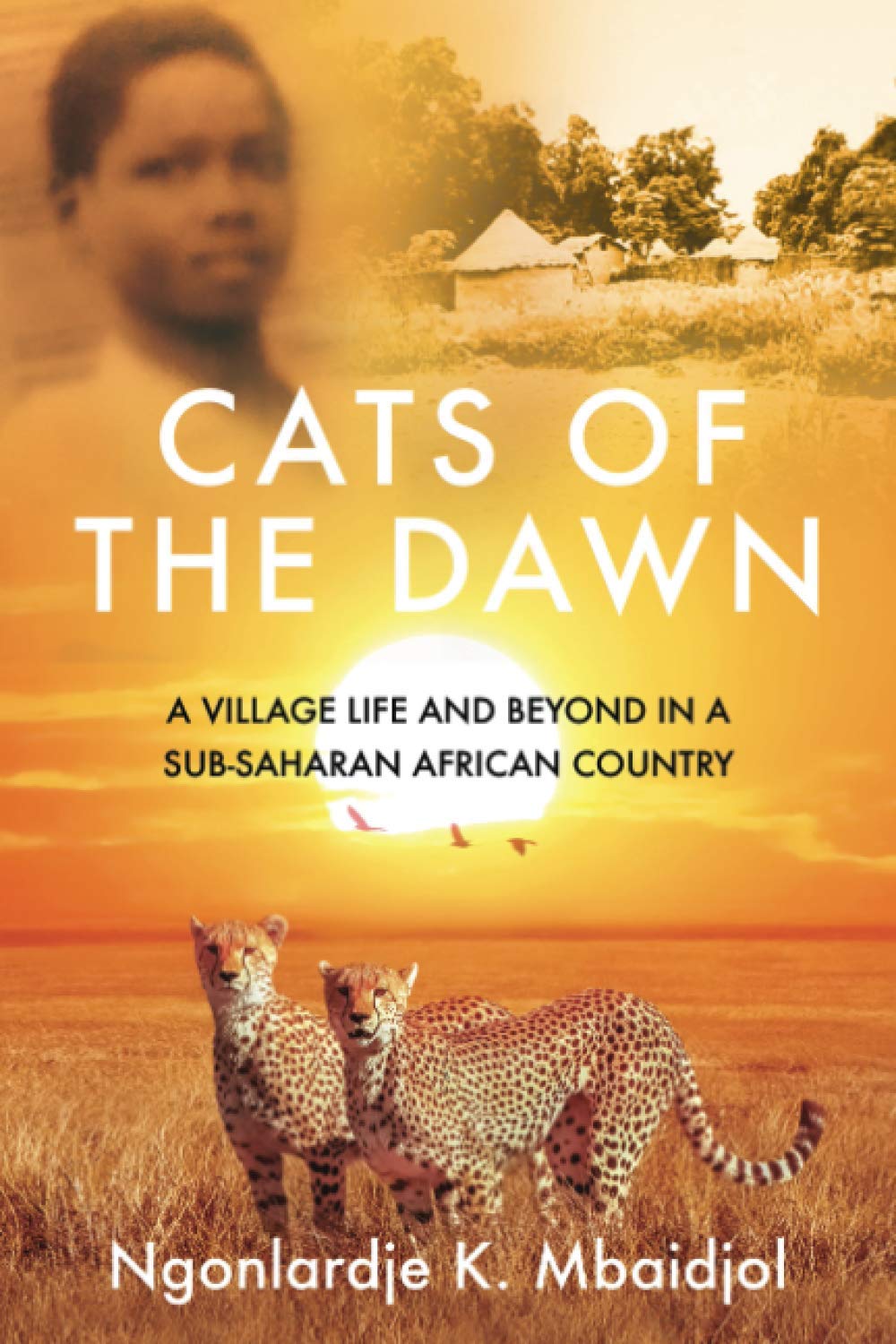 Cats of the Dawn: A Village Life and Beyond, in a Sub-Saharan African Country Memories