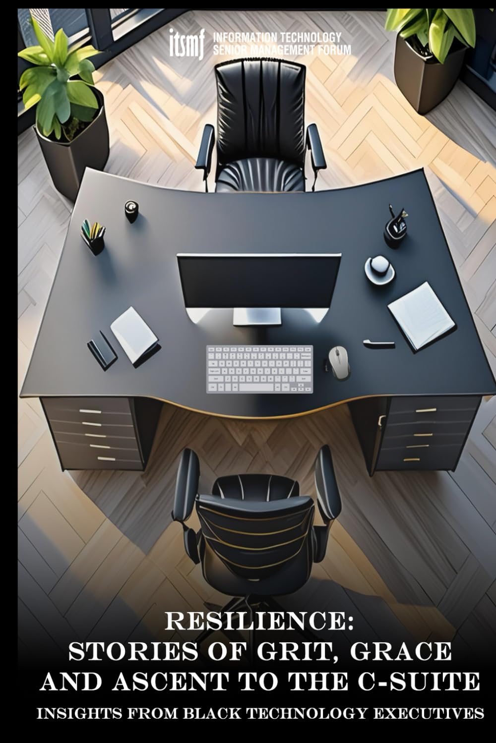 Resilience: Stories of Grit, Grace and Ascent to the C-Suite: ITSMF Executive Academy Cohort 2024 Business, Finance & Career