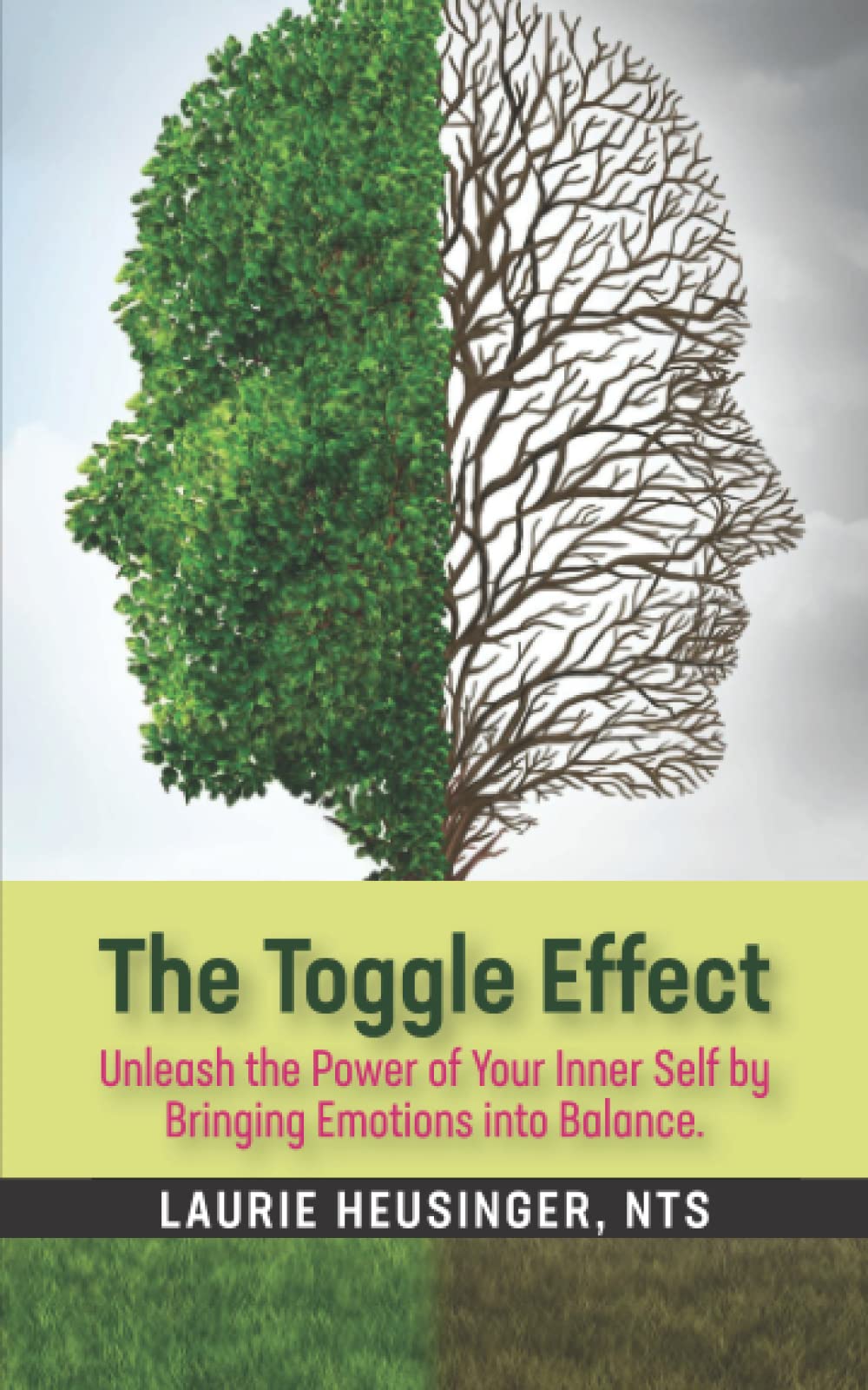 The Toggle Effect: Unleash the Power of Your Inner Self by Bringing Emoitons into Balance book