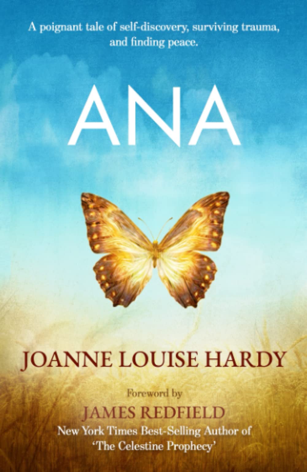 ANA: A novel inspired by a true story Contemporary literature