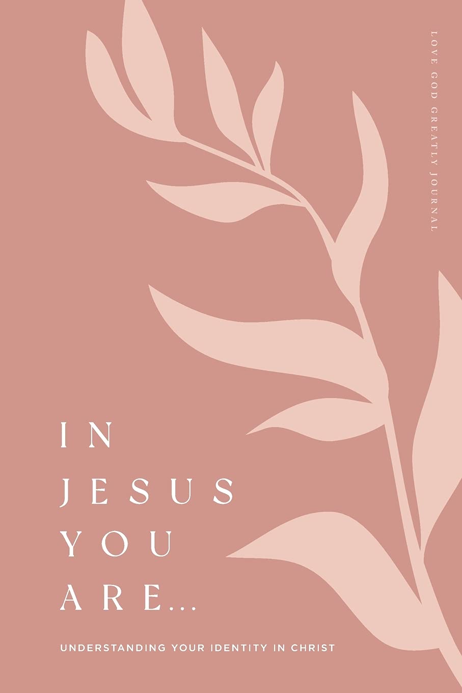 In Jesus You Are: Understanding Your Identity in Christ: A Love God Greatly Bible Study Journal Religion & Esotericism