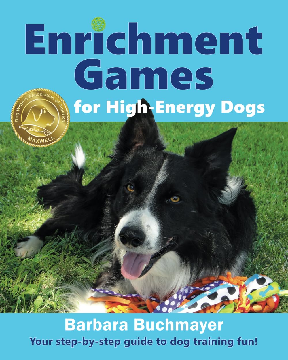 Enrichment Games for High-Energy Dogs: Your step-by-step guide to dog training fun! Pets