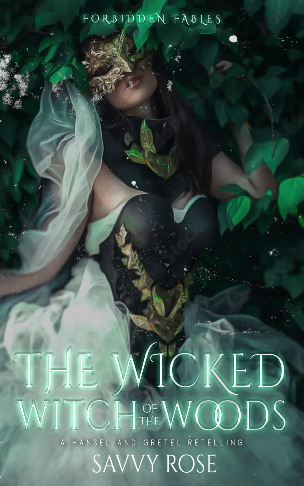The Wicked Witch of the Woods: A Hansel and Gretel Retelling book