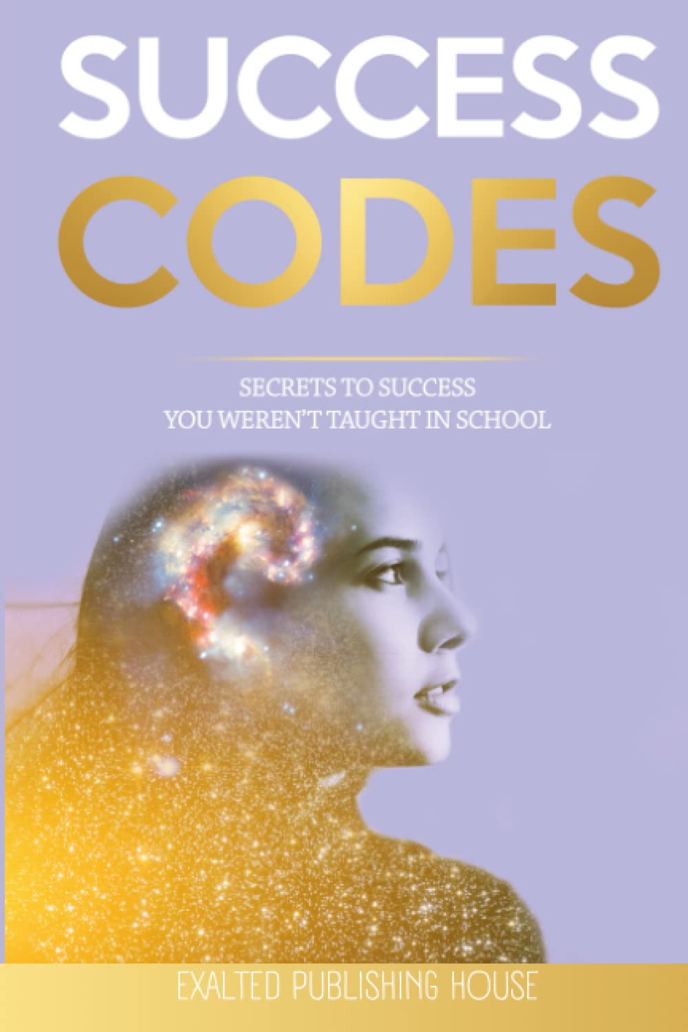 Success Codes: Secrets To Success You Weren't Taught In School book