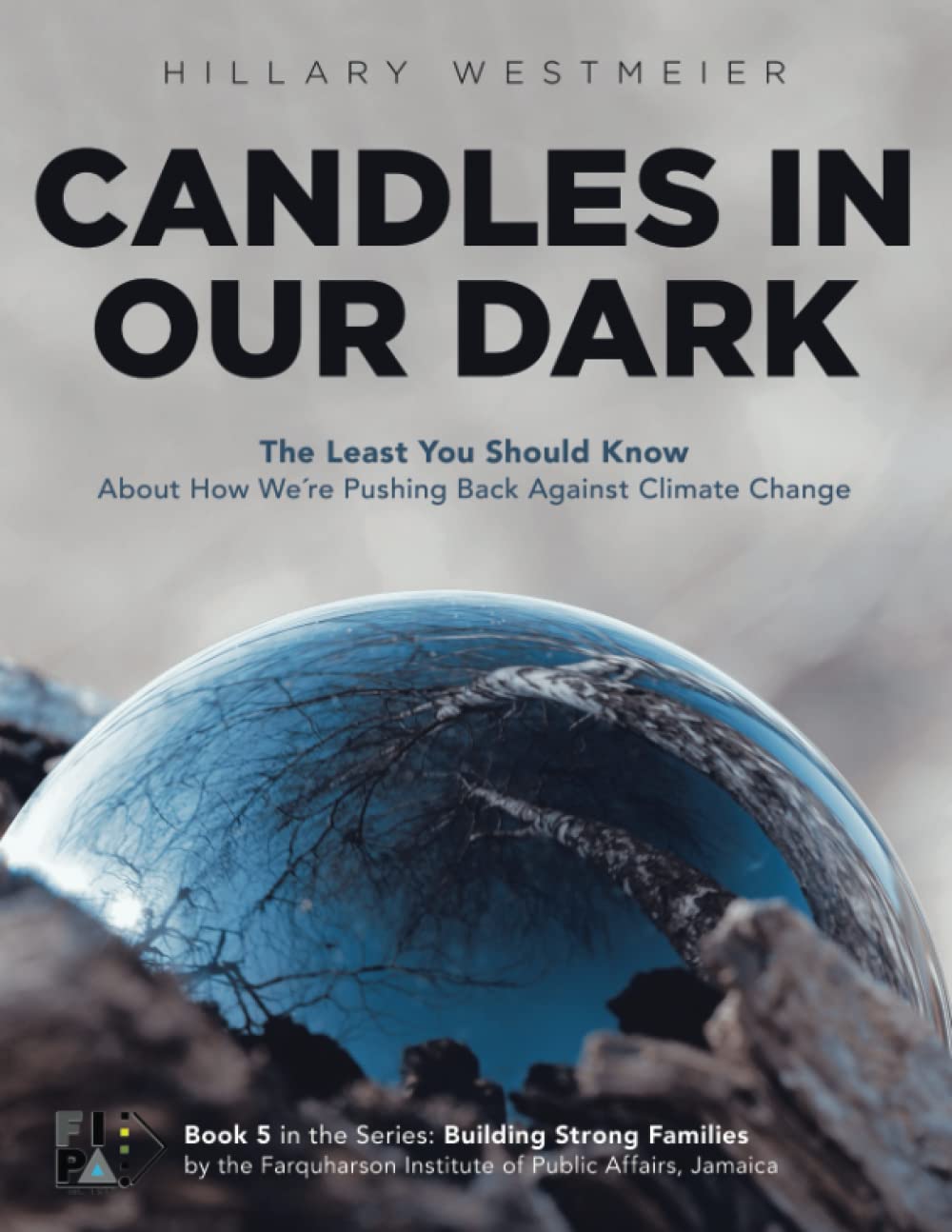 Candles in Our Dark: The Least You Should Know About How We're Pushing Back Against Climate Change Mathematics
