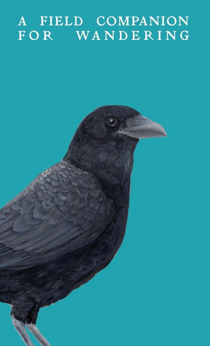 A Field Companion for Wandering Leisure, Home & Garden
