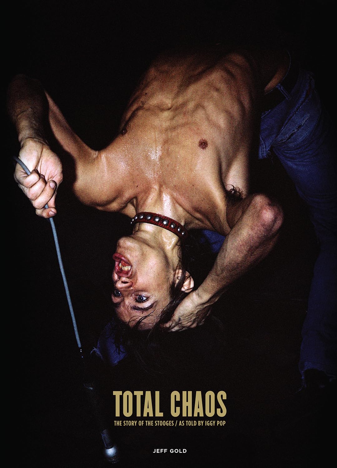 TOTAL CHAOS: The Story of the Stooges As Told by Iggy Pop / Updated and Revised Pop culture