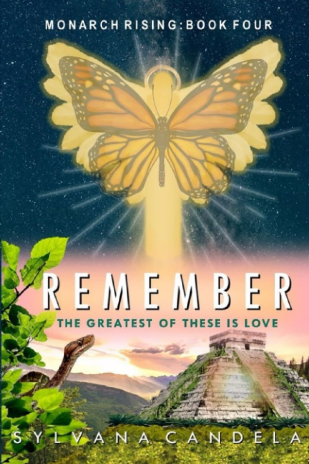 REMEMBER Historical Fiction