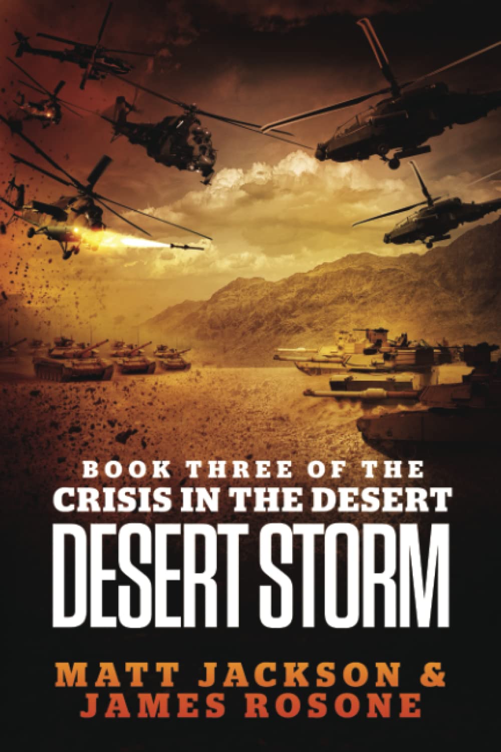 Desert Storm (Crisis in the Desert, Band 3) Action & Adventure