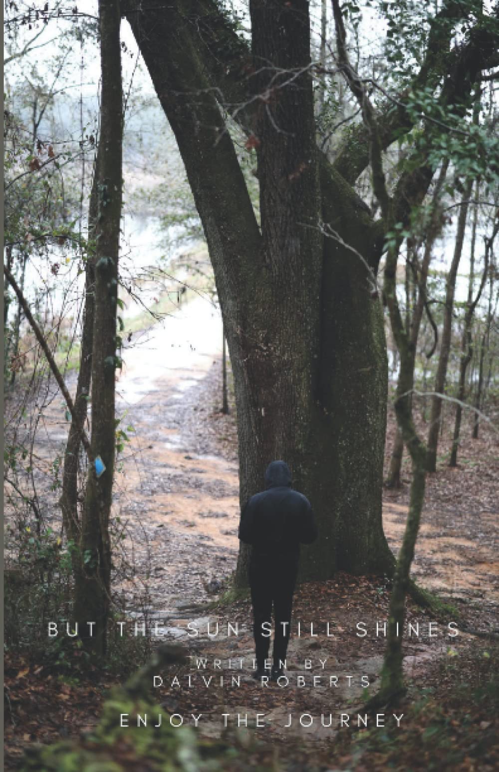 But The Sun Still Shines: Enjoy the Journey Poetry