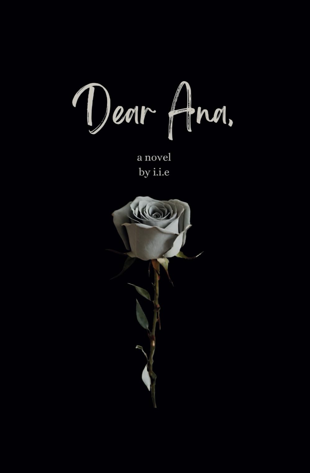 Dear Ana Contemporary literature Books