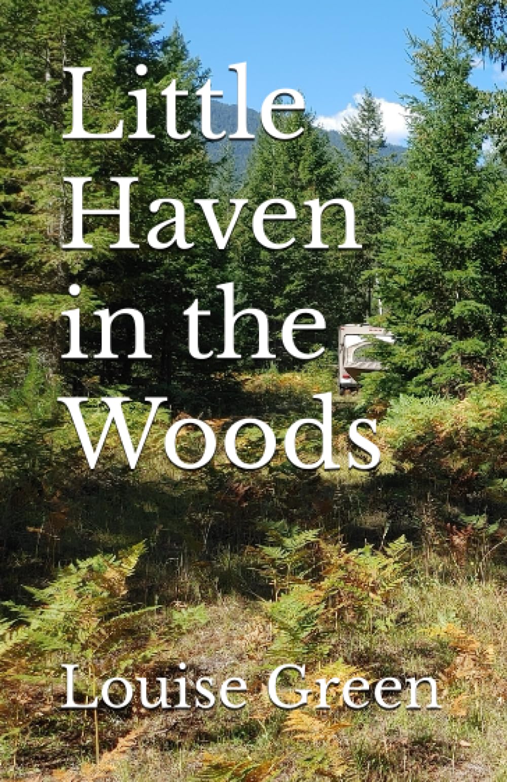 Little Haven in the Woods book