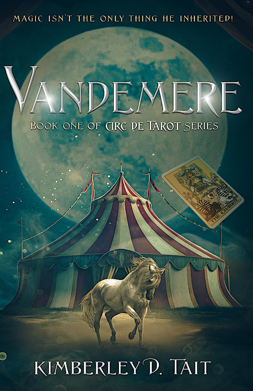 Vandemere: Book One of Circ de Tarot Series book