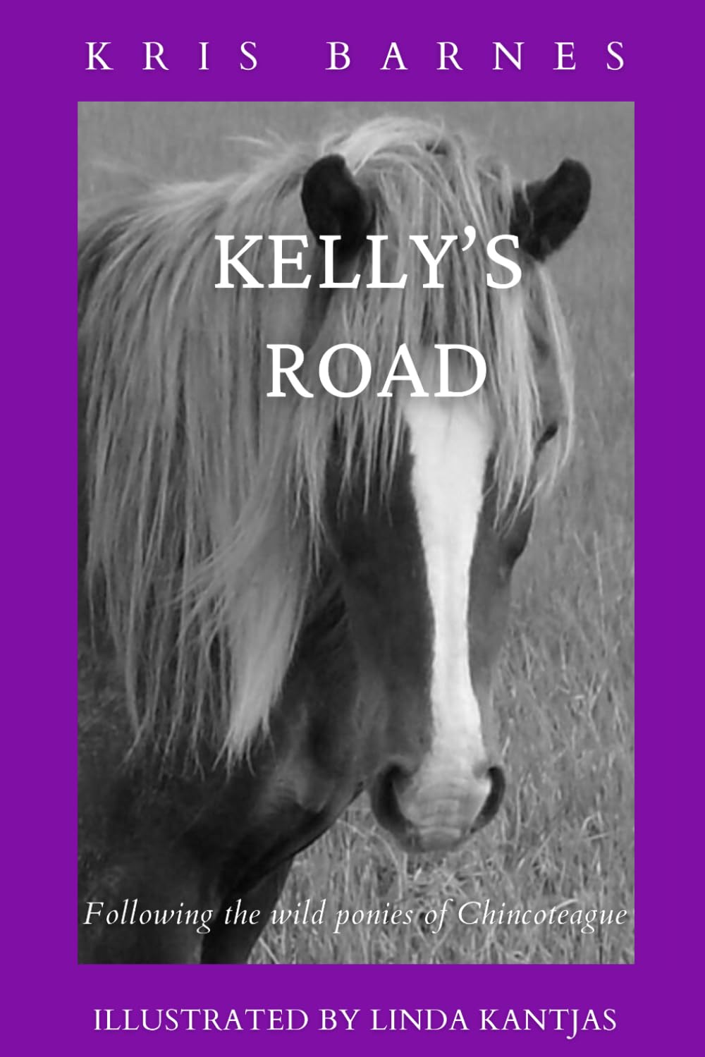 Kelly’s Road: Following the wild ponies of Chincoteague Memories