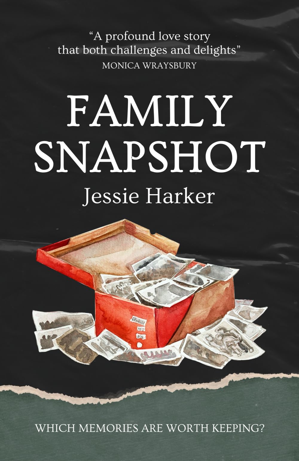 Family Snapshot: A powerful story of love, loss and healing set in southern Britain in the 1980s : Dramatic, challenging, uplifting and heart-warming. Contemporary literature Books