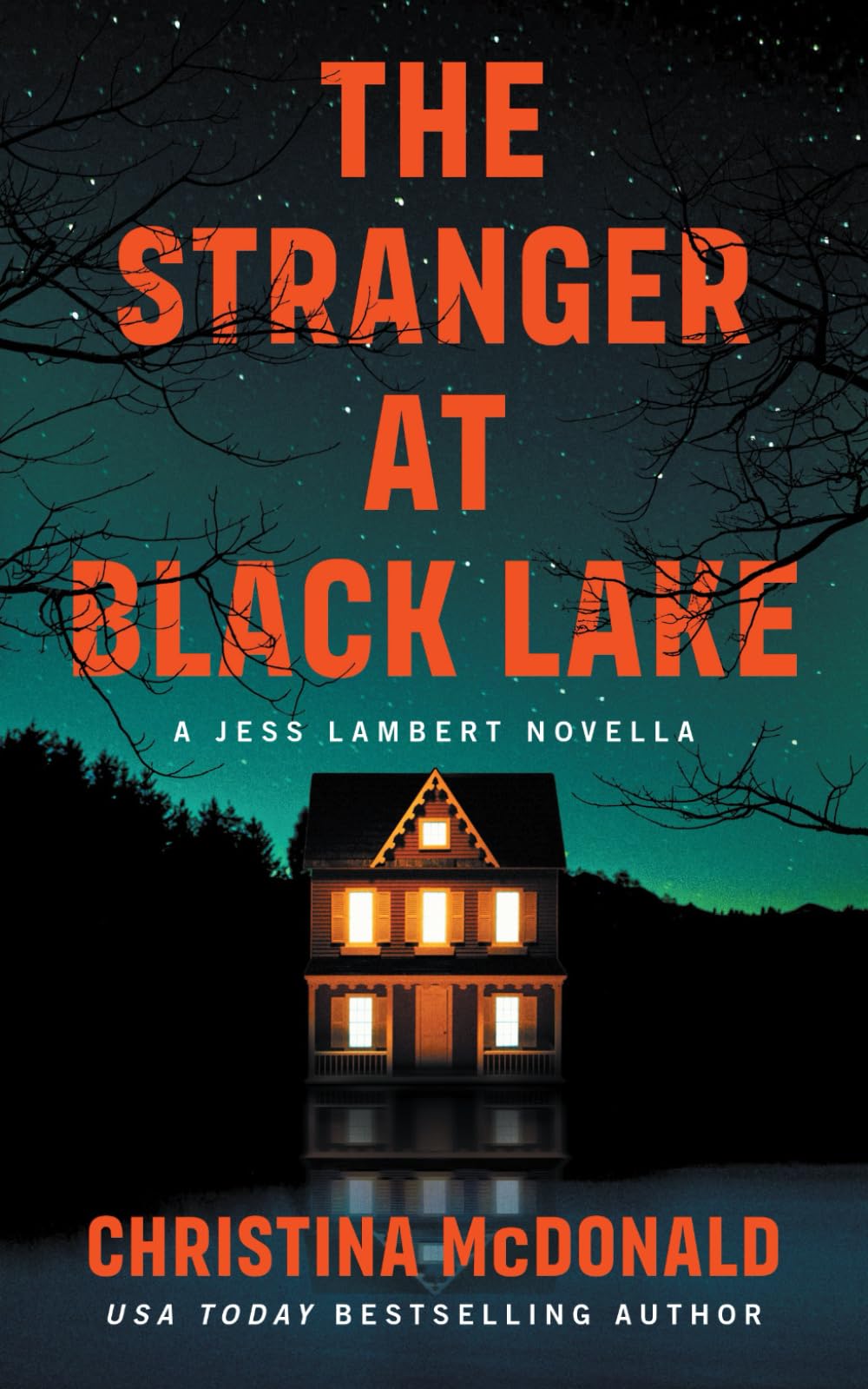 The Stranger At Black Lake: A Jess Lambert Prequel Novella Detective & CSI