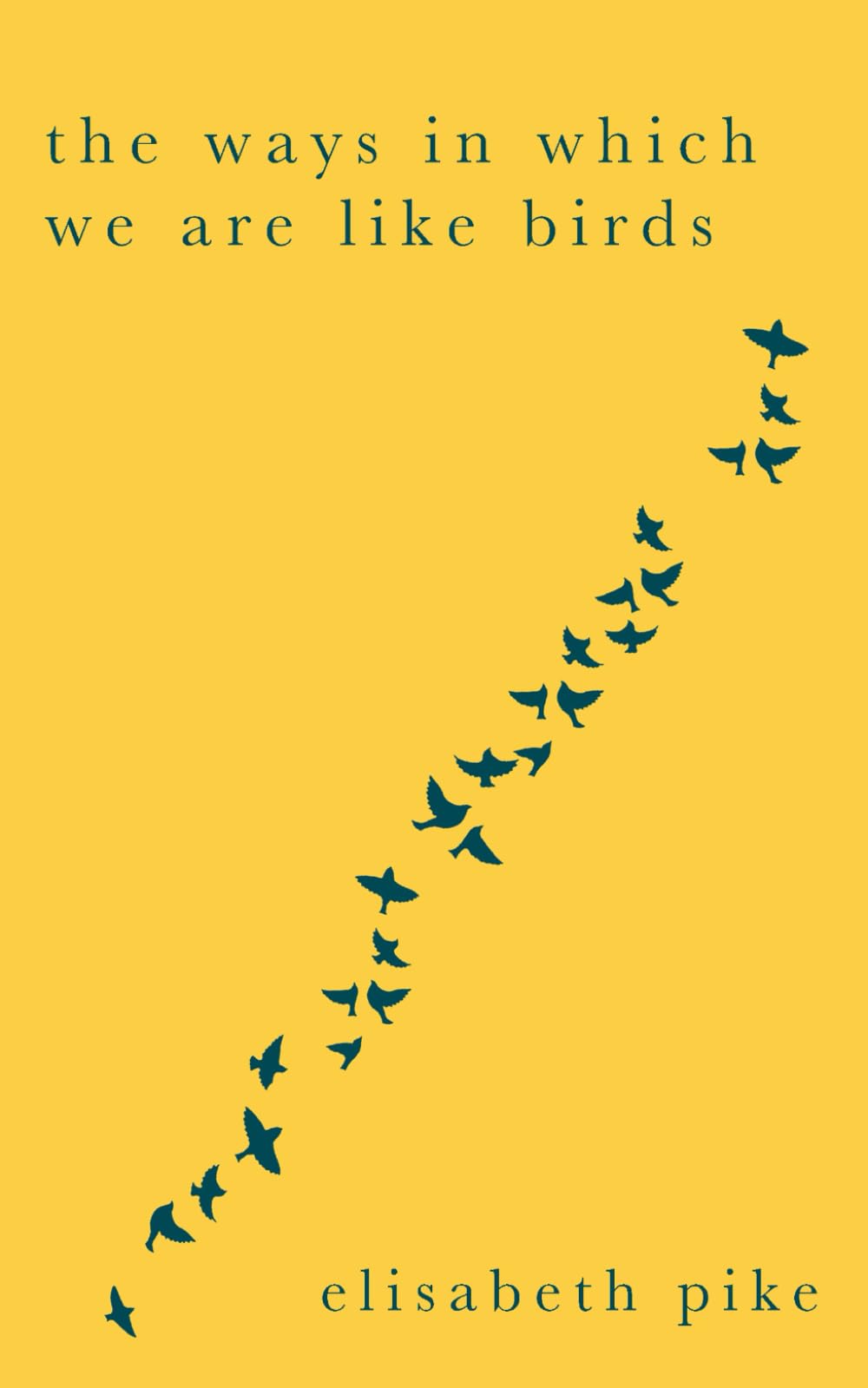 The Ways in Which We Are Like Birds Poetry