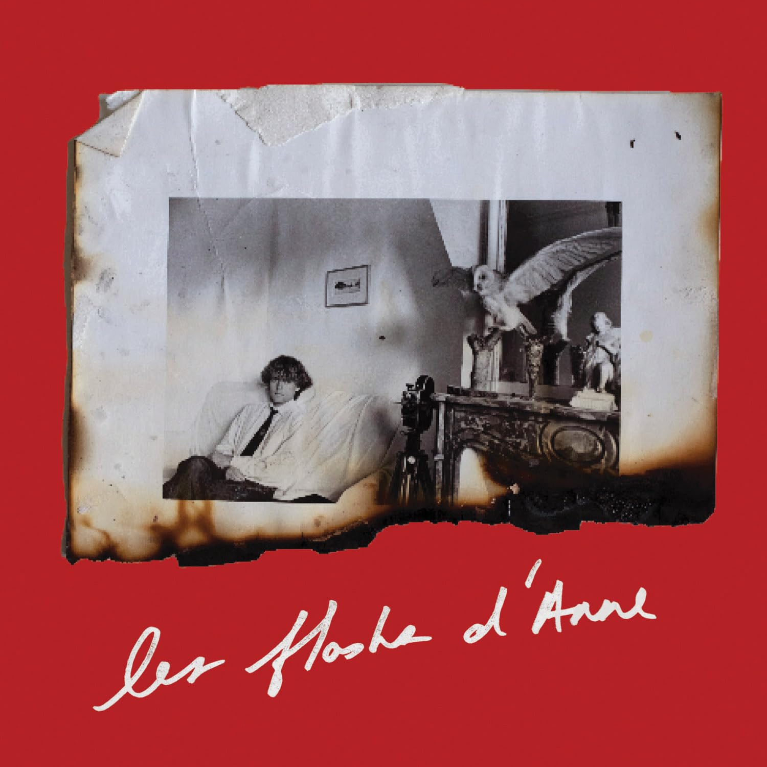 Anne Day: Les Flashes D'Anne: Friendship Among the Ashes with Hervé Guibert Memories
