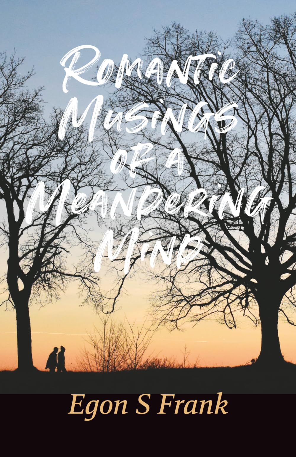 Romantic Musings of a Meandering Mind Essays & Short Stories