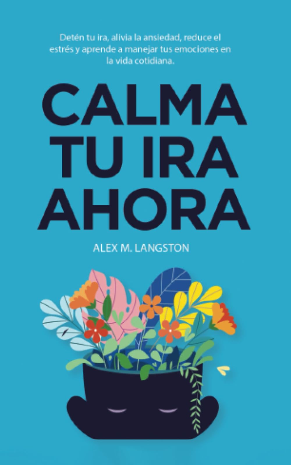 Calma tu ira ahora: Detén tu ira, alivia la ansiedad, reduce el estrés y aprende a manejar tus emociones en la vida cotidiana. book