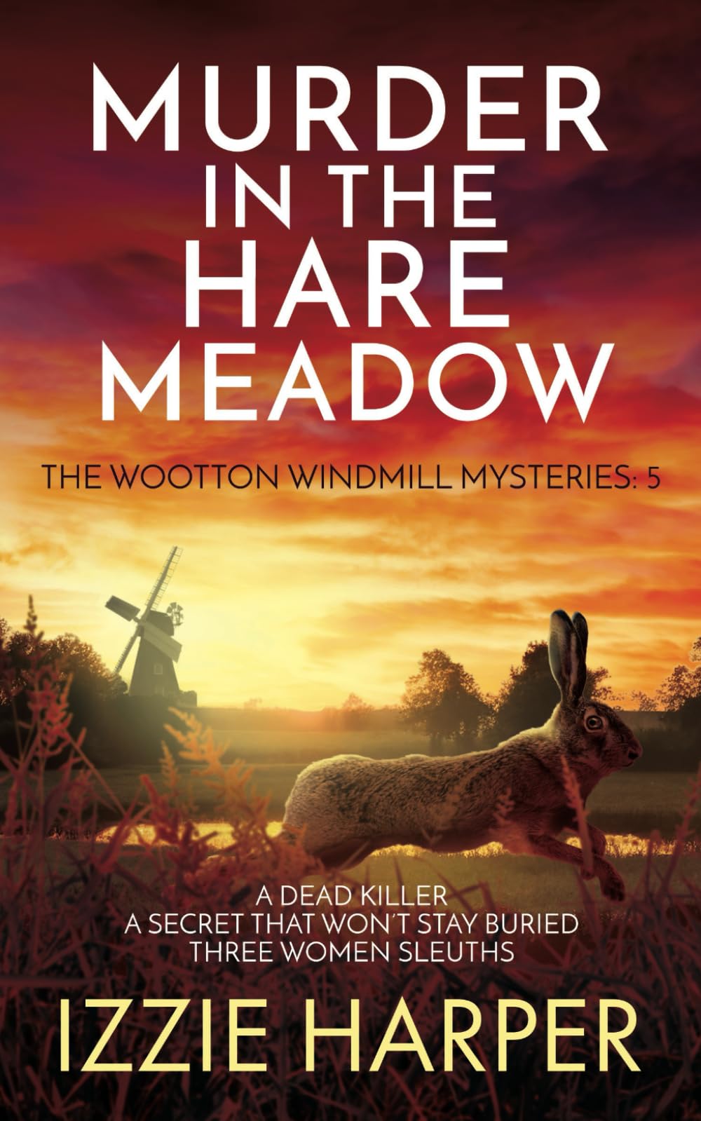 Murder in the Hare Meadow (The Wootton Windmill Mysteries, Band 5) Detective & CSI
