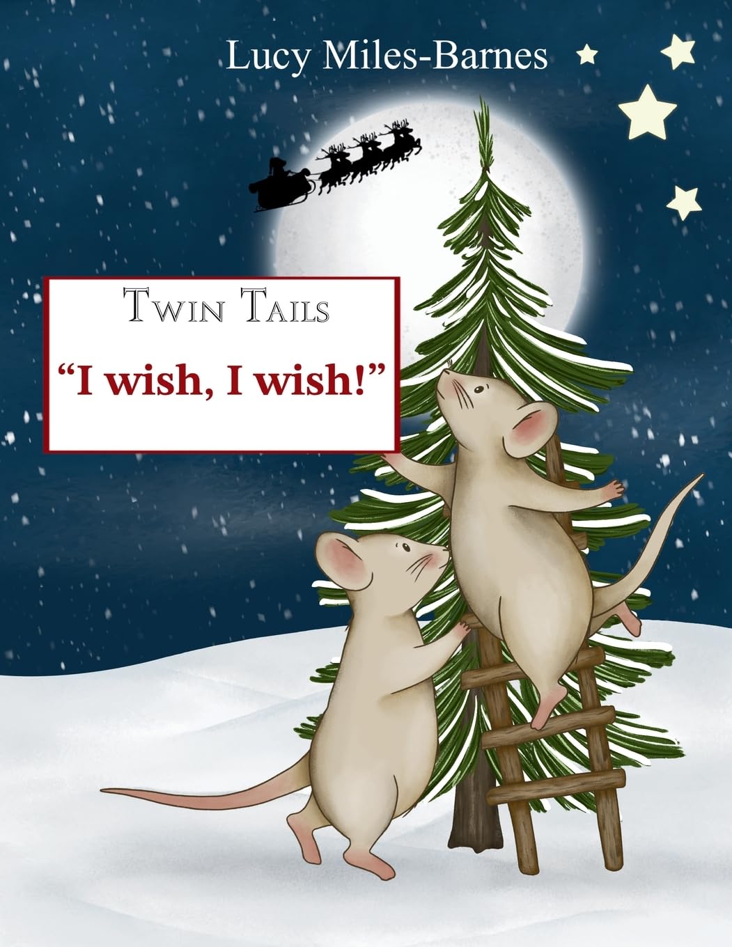 Twin Tails "I wish, I wish!" Books