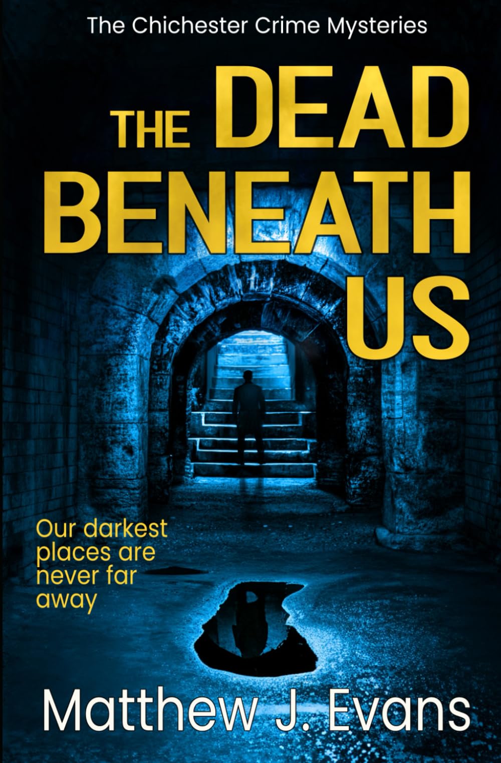 The Dead Beneath Us (The Chichester Crime Mysteries, Band 1) Contemporary literature