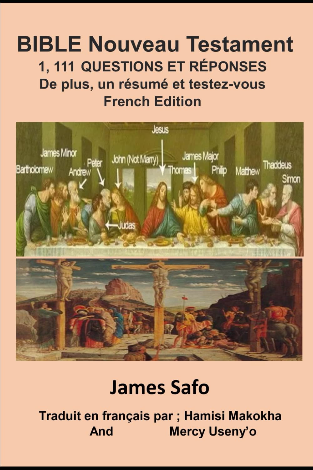 BIBLE Nouveau Testament ; 1 111 Questions et Réponses: De plus, un résumé et testez-vous book