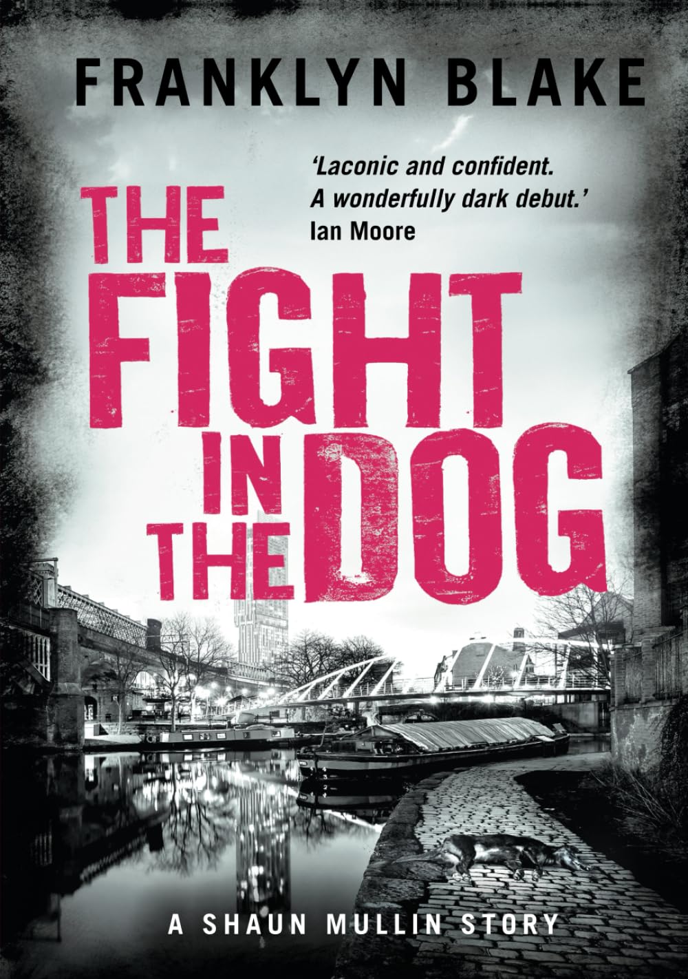 The Fight in the Dog: BOOK ONE in the Shaun Mullin Series Action & Adventure