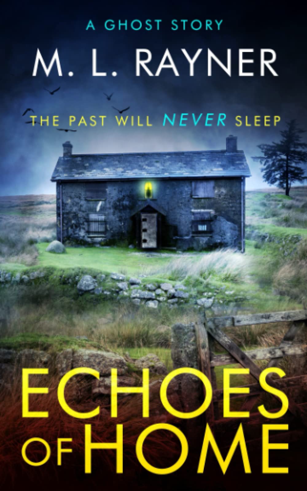 Echoes of Home: A Ghost story, which will haunt you... Horror & Mystery