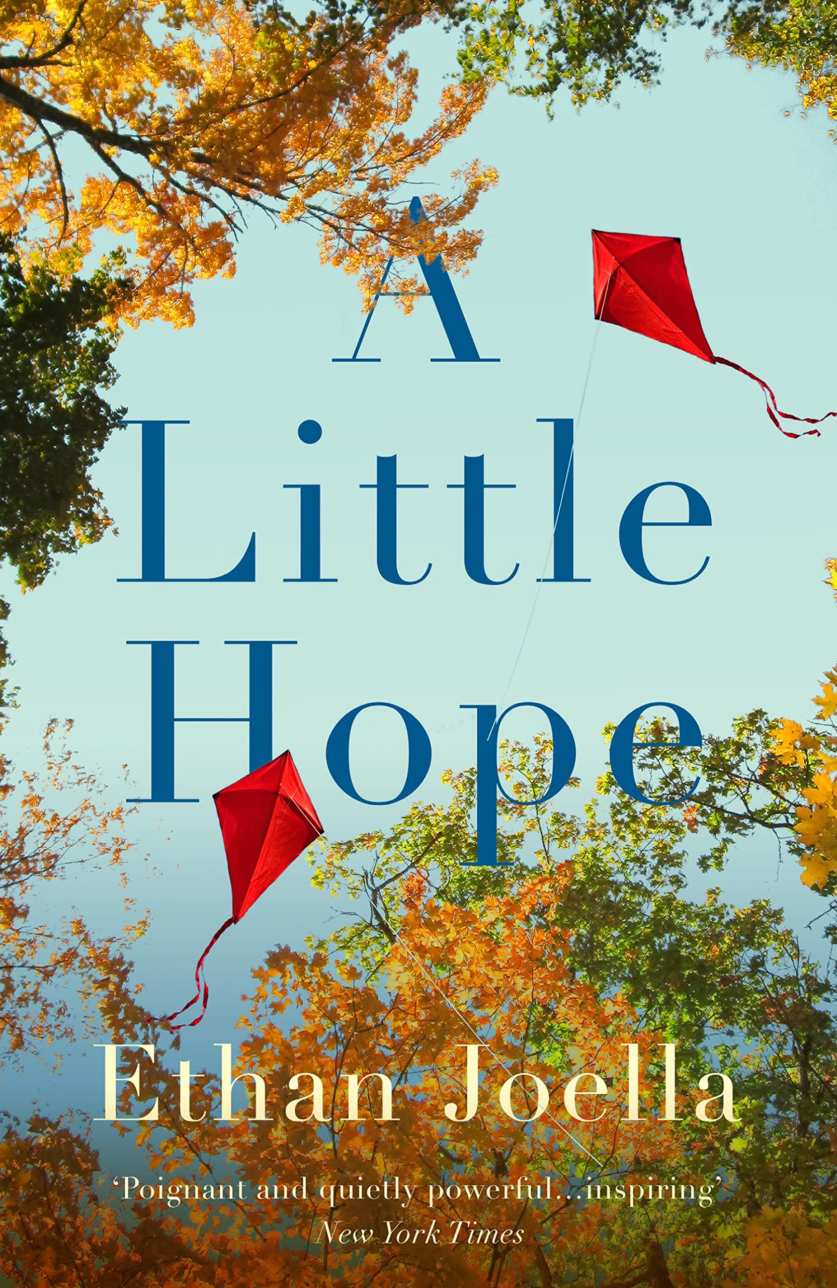 A Little Hope Contemporary literature Books