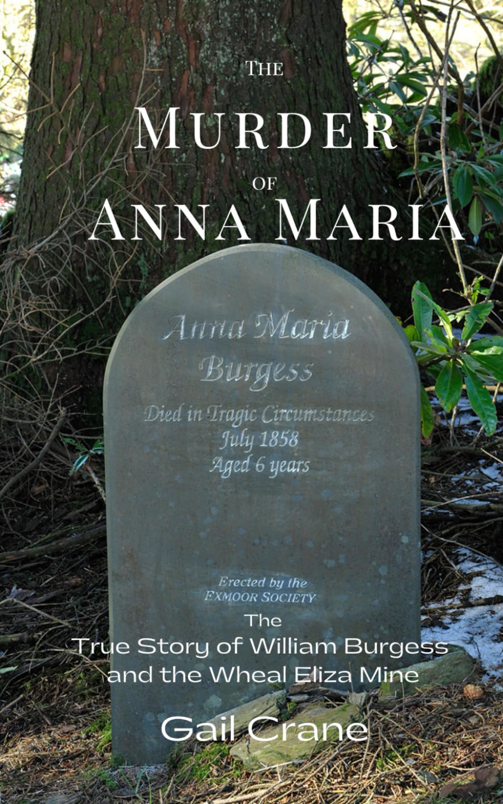 The Murder of Anna Maria Politics & Society