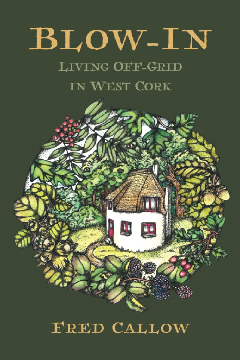 Blow-In: Living Off-grid in West Cork book