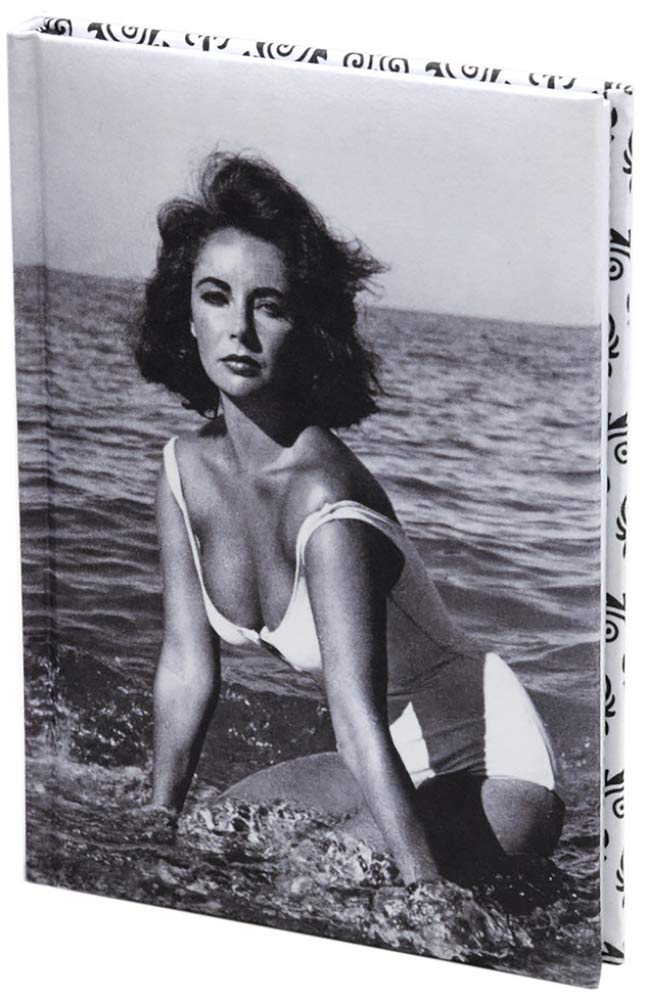 Elizabeth Taylor Journal book