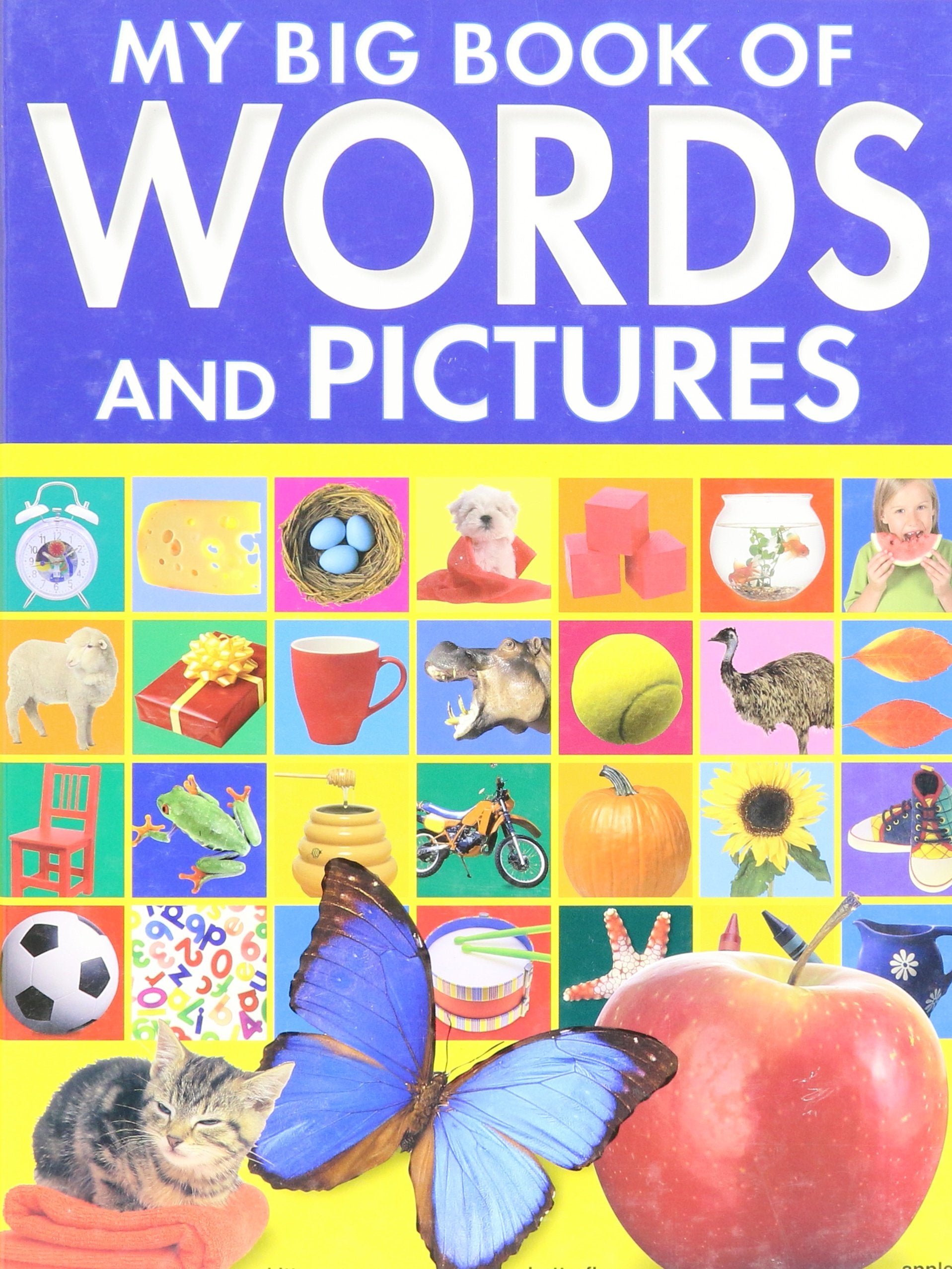 My Big Book of Words and Pictures Books