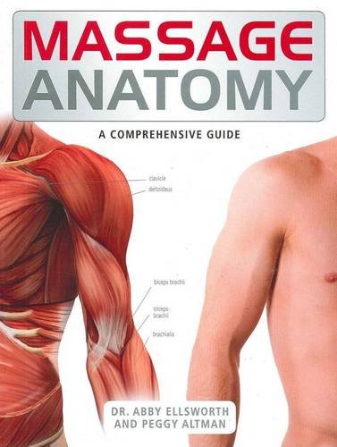 Massage Anatomy (The Anatomy Series) Health, Nutrition & Fitness