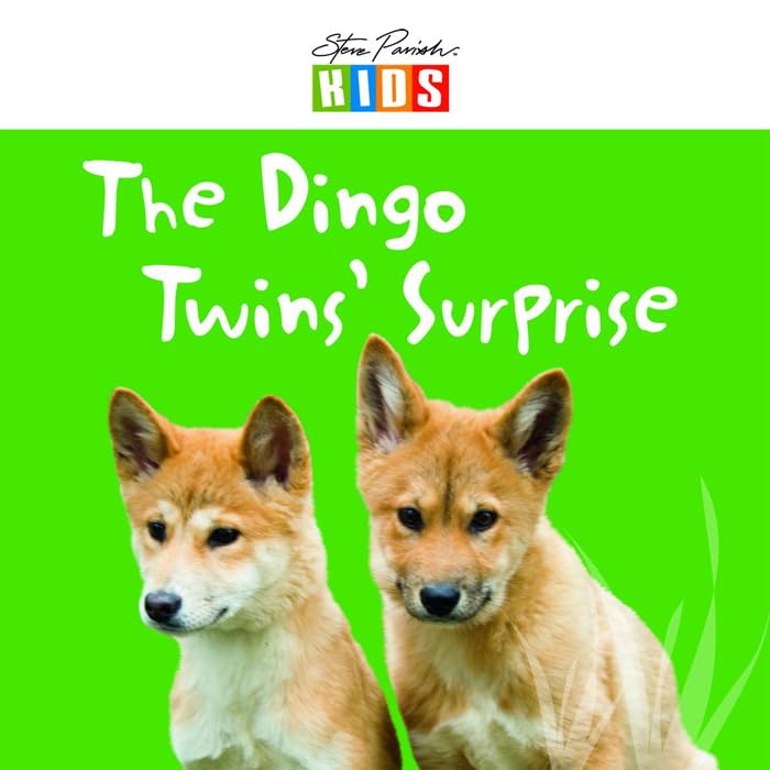 The Dingo Twins' Surprise book