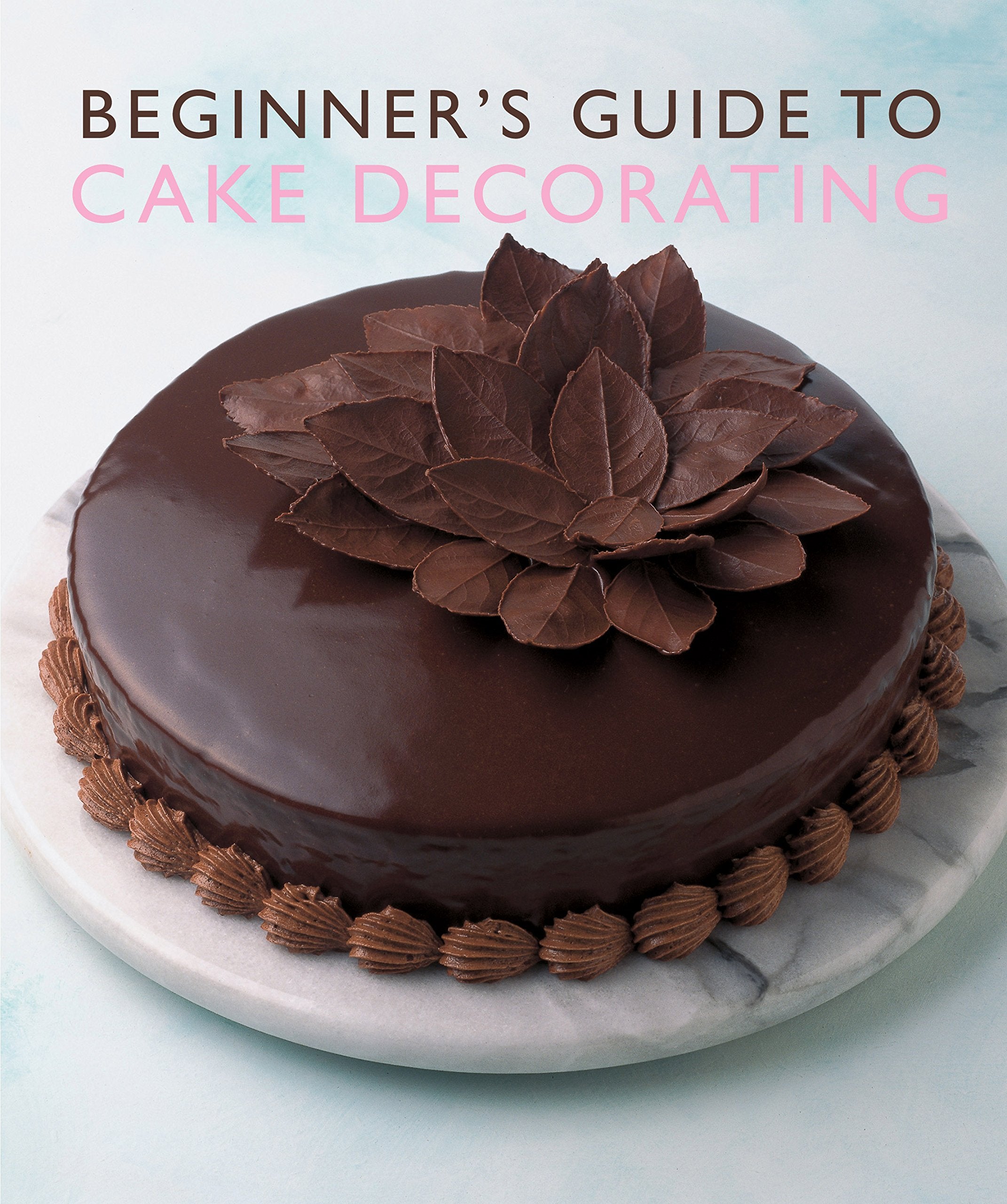 Beginner'S Guide to Cake Decorating Leisure, Home & Garden Books