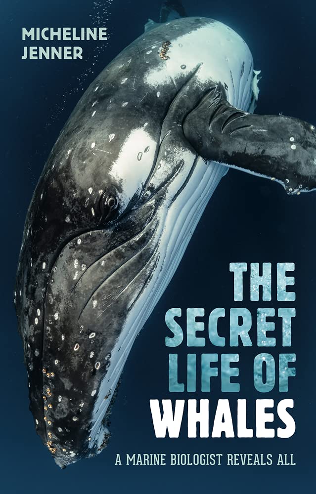 The Secret Life of Whales book