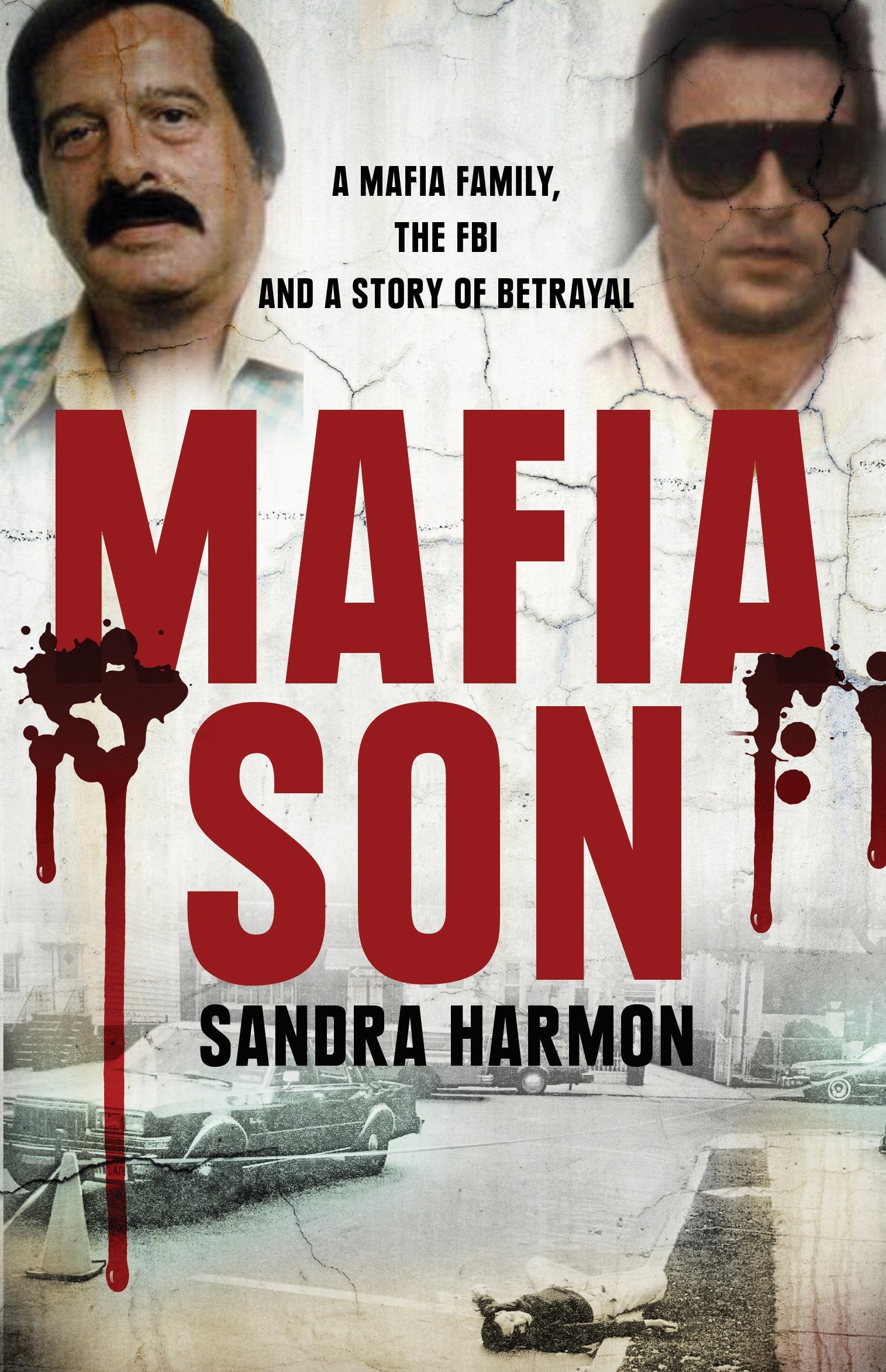 Mafia Son: A Mafia Family, the FBI and a Story of Betrayal Politics & Society Books