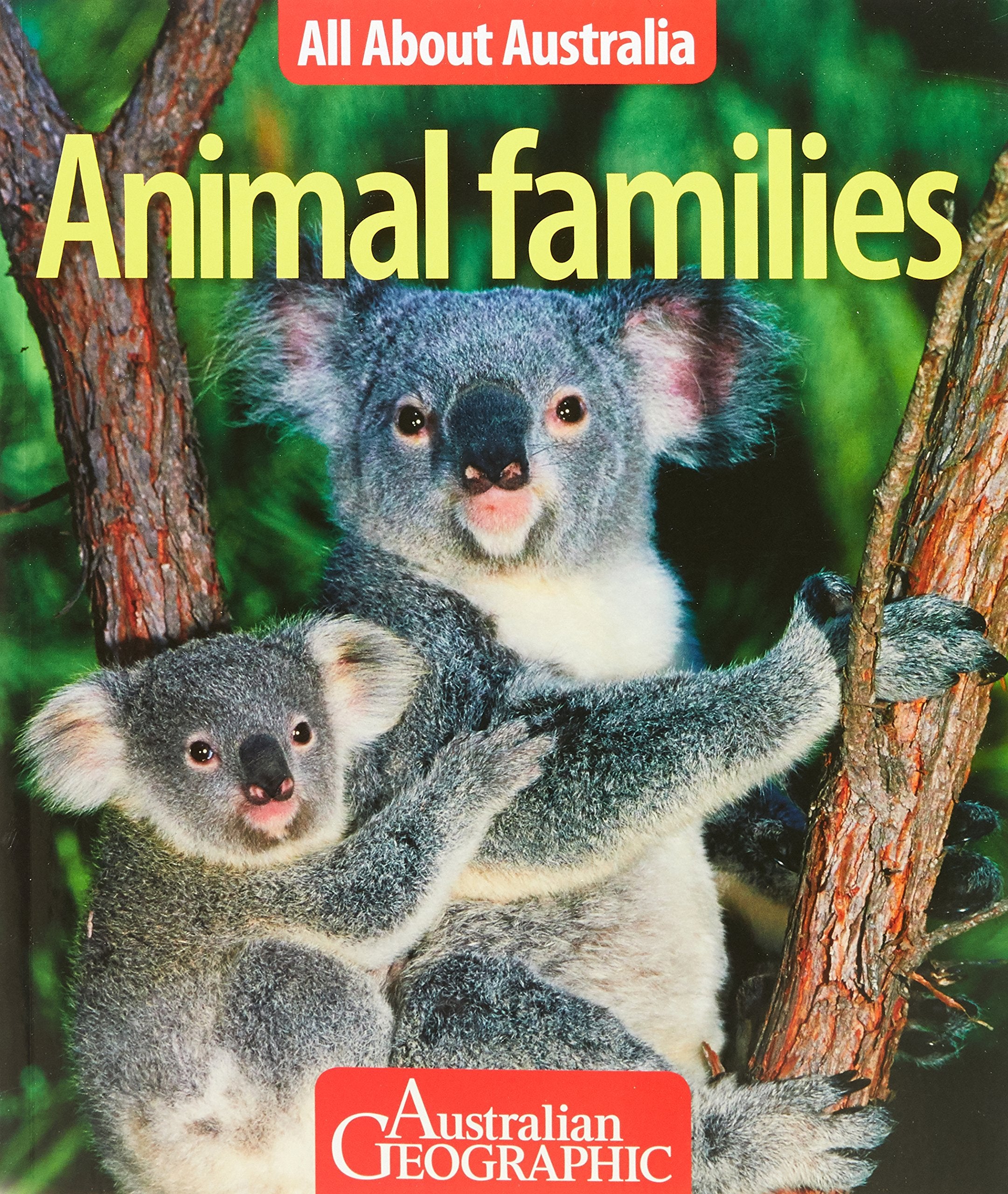 All About Australia: Animal Families book