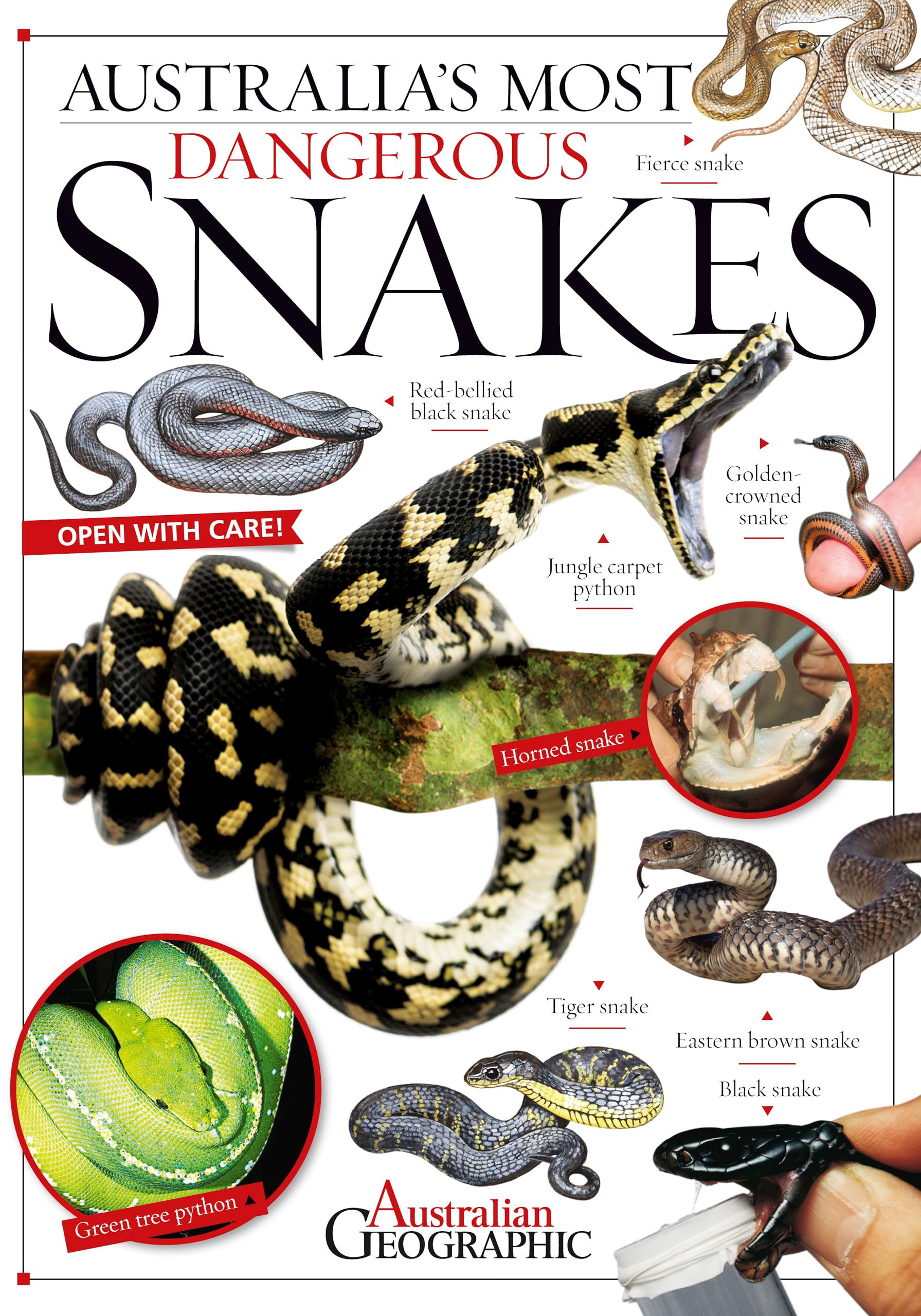 Australia's Most Dangerous Snakes Non-fiction