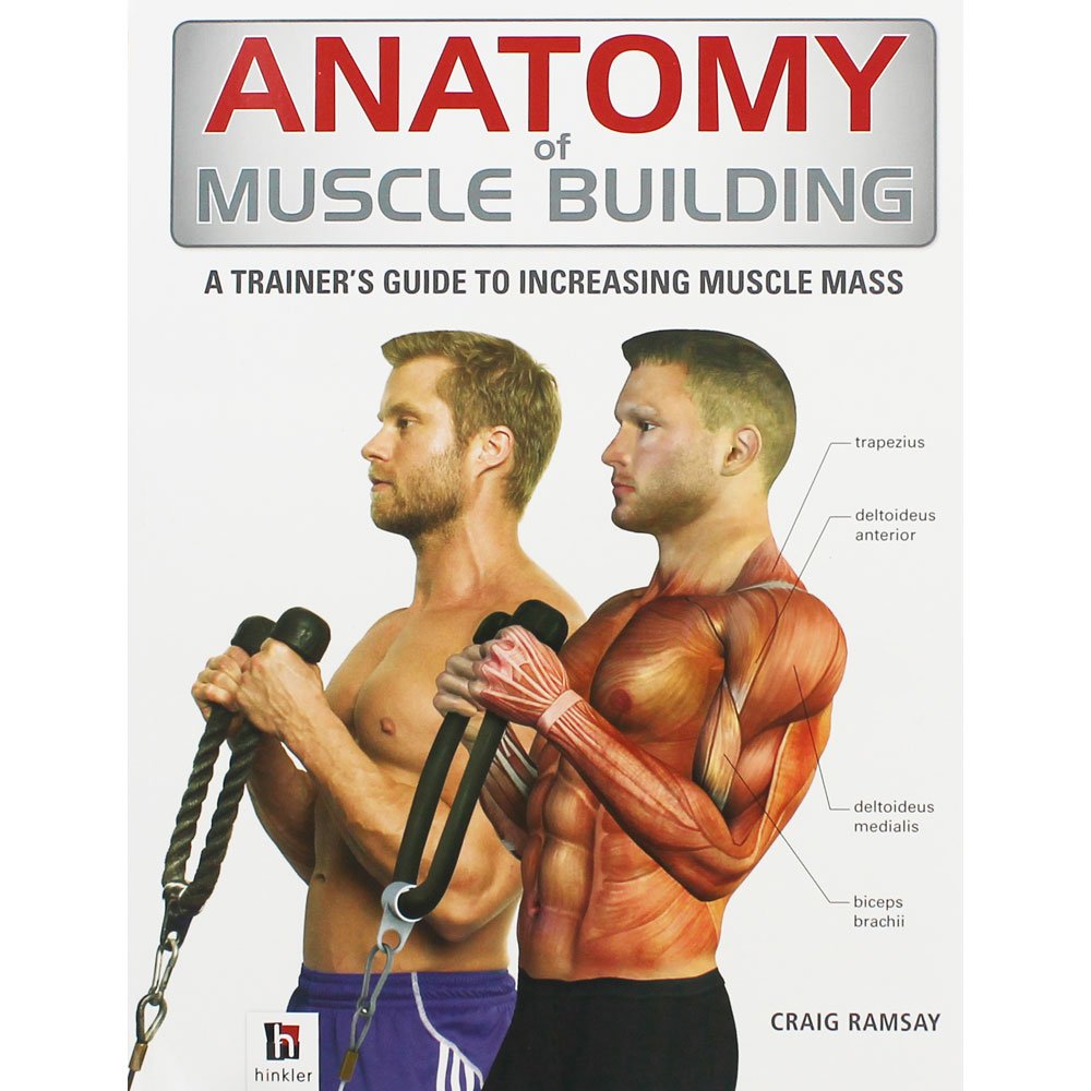 Anatomy of Muscle Building (The Anatomy Series) Health, Nutrition & Fitness