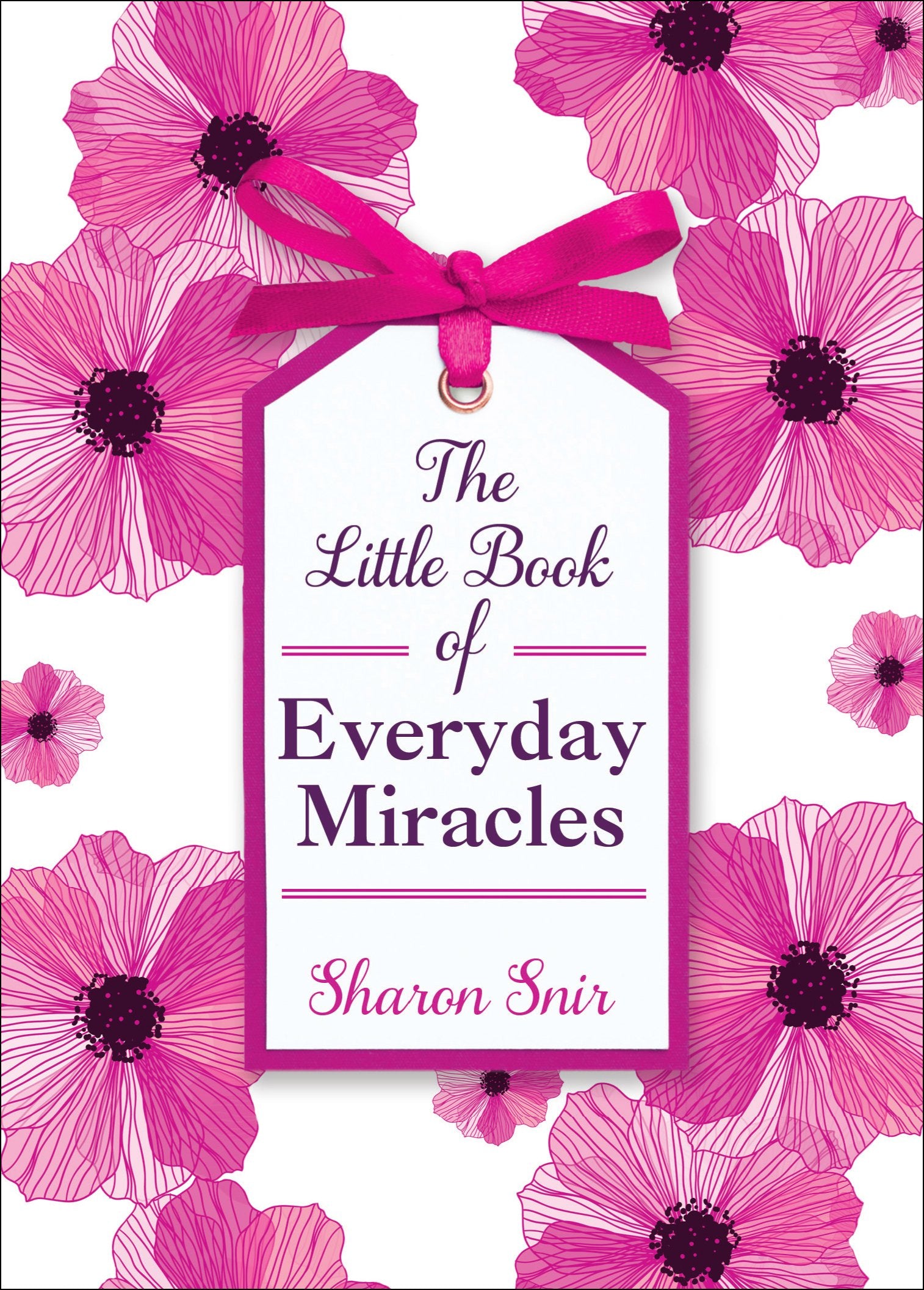 The Little Book of Everyday Miracles book
