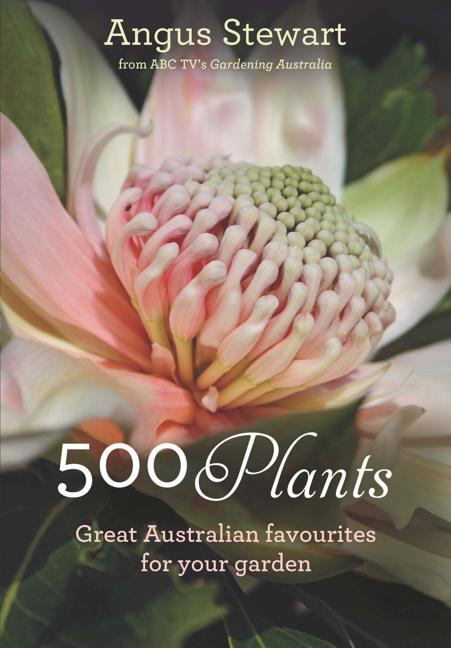 500 Plants: Great Australian favourites for your garden Books